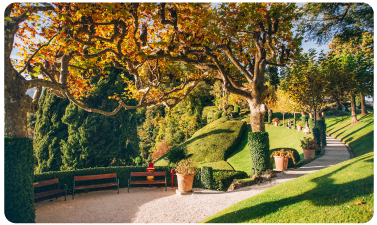 Mayor atractivo visual