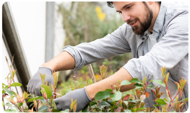 Mantenimiento regular