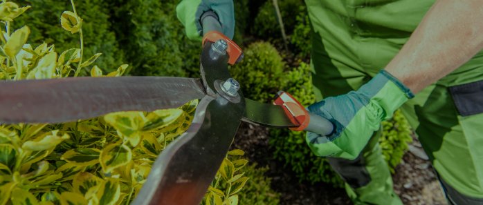 Servicios de Mantenimiento