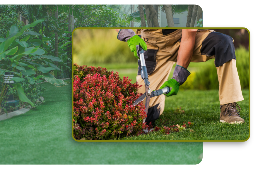 Diseño de Paisajismo