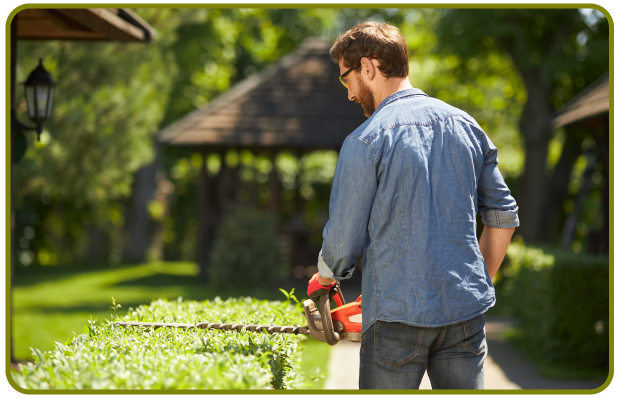 Mantenimiento Paisajístico