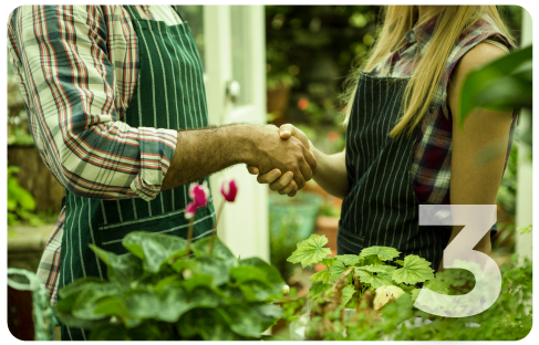 Aprobación del Diseño