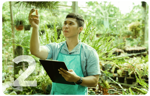 Evaluación del Sitio