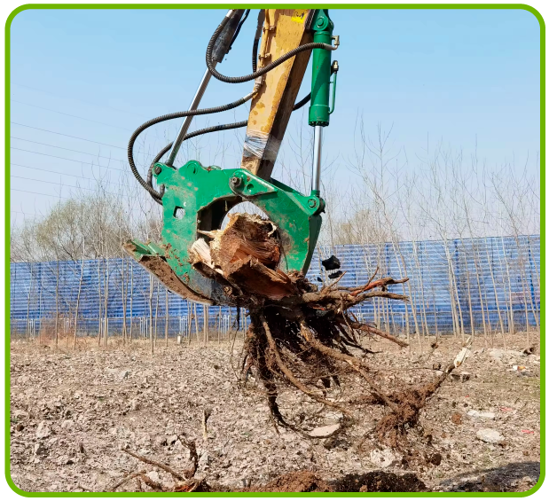Servicio de Remoción de Tocones