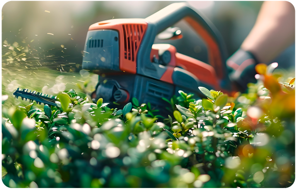 Recorte especializado